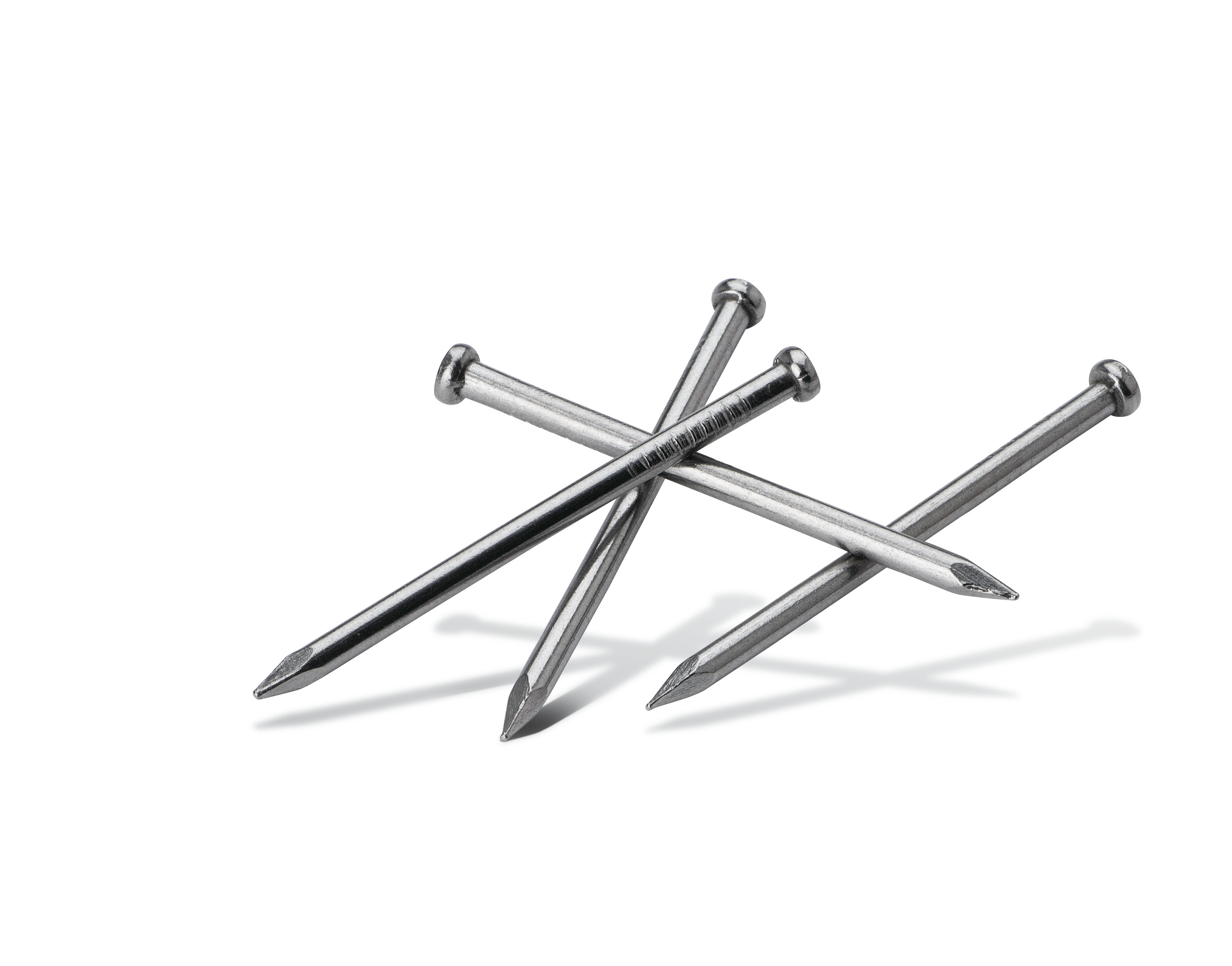 Viertelstabstift Pajarito Viertelstabstift Pajarito